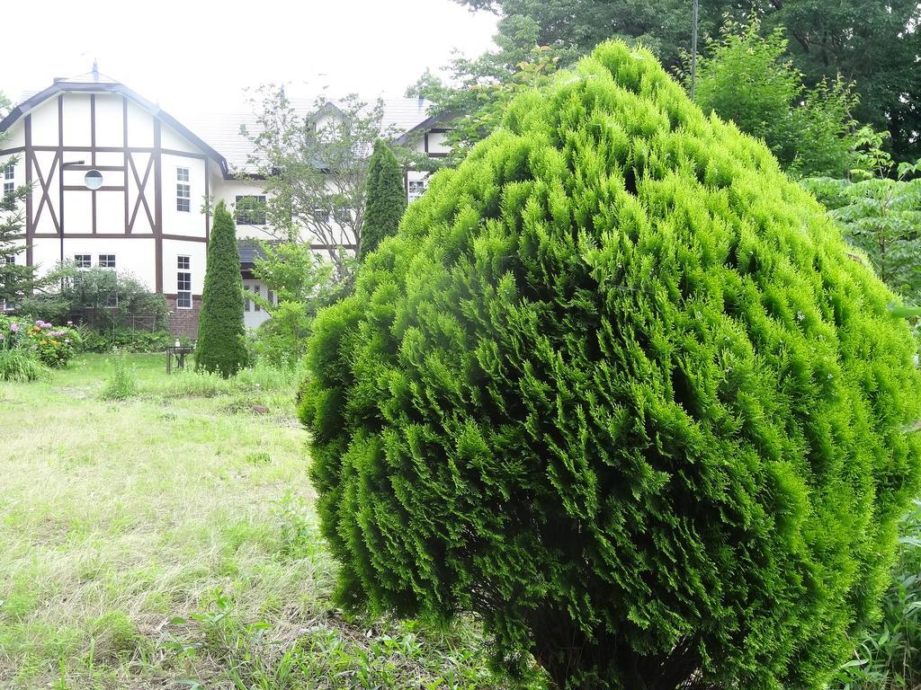 Gasthof Arutany Nasu Dış mekan fotoğraf